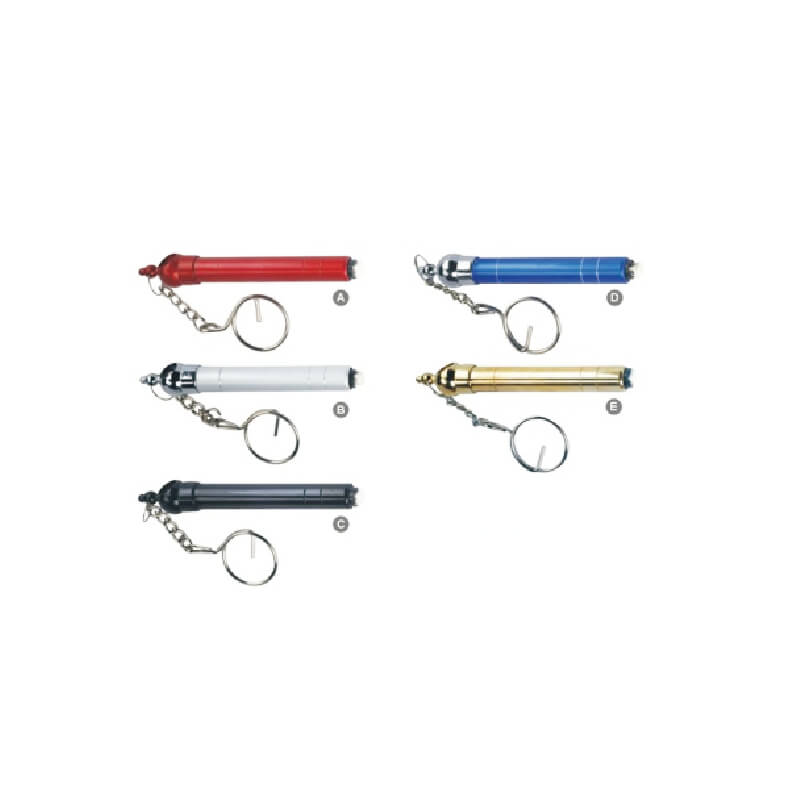Mini Tire Gauge with Key-chain